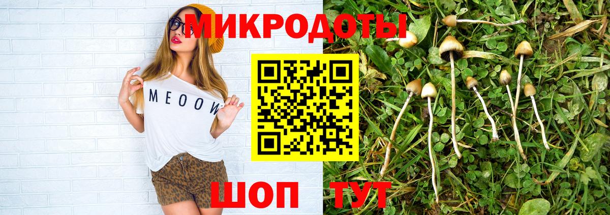 Псилоцибиновые грибы Cubensis  Вход с VPN  Новокубанск 